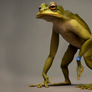 Bufo